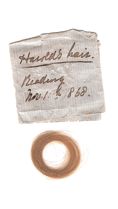 A lock of Harold's hair