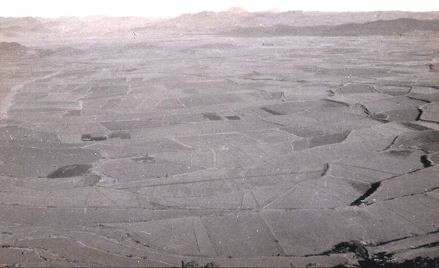 Cultivated plain in the Yemen.